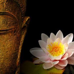 Meet your Posher, Nadji